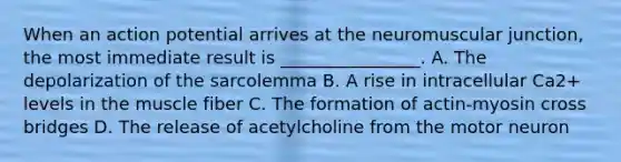 When an action potential arrives at the neuromuscular junction, the most immediate result is ________________. A. The depolarization of the sarcolemma B. A rise in intracellular Ca2+ levels in the muscle fiber C. The formation of actin-myosin cross bridges D. The release of acetylcholine from the motor neuron