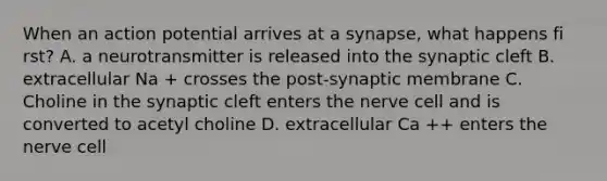 When an action potential arrives at a synapse, what happens fi rst? A. a neurotransmitter is released into the synaptic cleft B. extracellular Na + crosses the post-synaptic membrane C. Choline in the synaptic cleft enters the nerve cell and is converted to acetyl choline D. extracellular Ca ++ enters the nerve cell