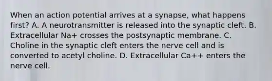 When an action potential arrives at a synapse, what happens first? A. A neurotransmitter is released into the synaptic cleft. B. Extracellular Na+ crosses the postsynaptic membrane. C. Choline in the synaptic cleft enters the nerve cell and is converted to acetyl choline. D. Extracellular Ca++ enters the nerve cell.