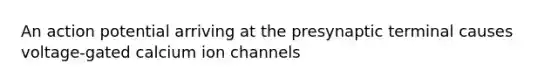 An action potential arriving at the presynaptic terminal causes voltage-gated calcium ion channels