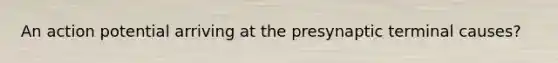 An action potential arriving at the presynaptic terminal causes?