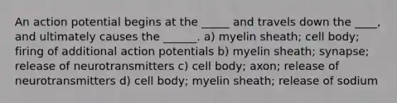 An action potential begins at the _____ and travels down the ____, and ultimately causes the ______. a) myelin sheath; cell body; firing of additional action potentials b) myelin sheath; synapse; release of neurotransmitters c) cell body; axon; release of neurotransmitters d) cell body; myelin sheath; release of sodium