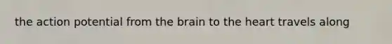 the action potential from the brain to the heart travels along