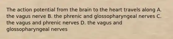 The action potential from the brain to the heart travels along A. the vagus nerve B. the phrenic and glossopharyngeal nerves C. the vagus and phrenic nerves D. the vagus and glossopharyngeal nerves