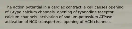 The action potential in a cardiac contractile cell causes opening of L-type calcium channels. opening of ryanodine receptor calcium channels. activation of sodium-potassium ATPase. activation of NCX transporters. opening of HCN channels.