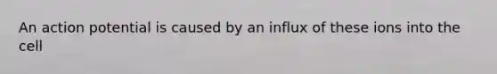 An action potential is caused by an influx of these ions into the cell