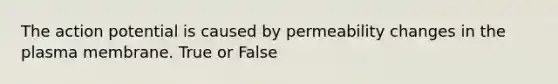 The action potential is caused by permeability changes in the plasma membrane. True or False