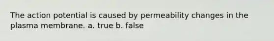 The action potential is caused by permeability changes in the plasma membrane. a. true b. false