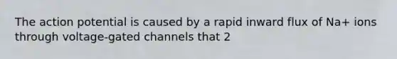 The action potential is caused by a rapid inward flux of Na+ ions through voltage-gated channels that 2