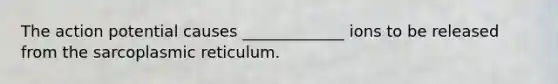 The action potential causes _____________ ions to be released from the sarcoplasmic reticulum.