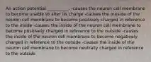 An action potential __________. -causes the neuron cell membrane to become unable to alter its charge -causes the outside of the neuron cell membrane to become positively charged in reference to the inside -causes the inside of the neuron cell membrane to become positively charged in reference to the outside -causes the inside of the neuron cell membrane to become negatively charged in reference to the outside -causes the inside of the neuron cell membrane to become neutrally charged in reference to the outside