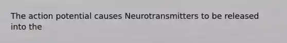 The action potential causes Neurotransmitters to be released into the