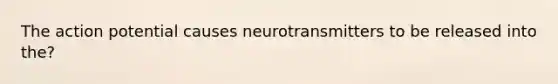 The action potential causes neurotransmitters to be released into the?