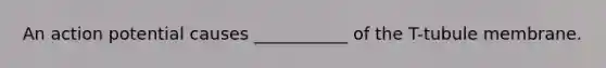 An action potential causes ___________ of the T-tubule membrane.