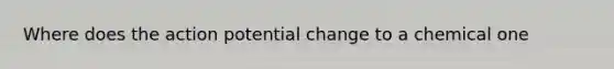 Where does the action potential change to a chemical one