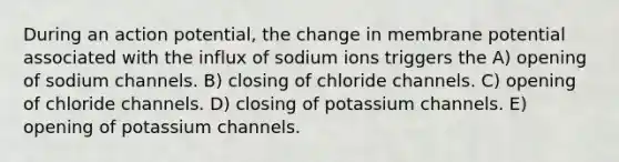 During an action potential, the change in membrane potential associated with the influx of sodium ions triggers the A) opening of sodium channels. B) closing of chloride channels. C) opening of chloride channels. D) closing of potassium channels. E) opening of potassium channels.