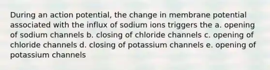 During an action potential, the change in membrane potential associated with the influx of sodium ions triggers the a. opening of sodium channels b. closing of chloride channels c. opening of chloride channels d. closing of potassium channels e. opening of potassium channels