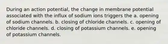 During an action potential, the change in membrane potential associated with the influx of sodium ions triggers the a. opening of sodium channels. b. closing of chloride channels. c. opening of chloride channels. d. closing of potassium channels. e. opening of potassium channels.