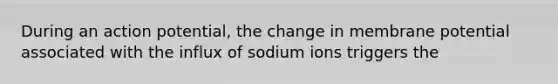 During an action potential, the change in membrane potential associated with the influx of sodium ions triggers the