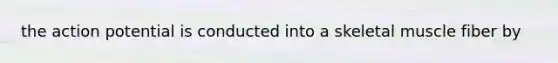 the action potential is conducted into a skeletal muscle fiber by