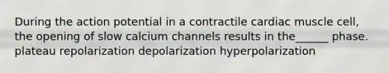 During the action potential in a contractile cardiac muscle cell, the opening of slow calcium channels results in the______ phase. plateau repolarization depolarization hyperpolarization