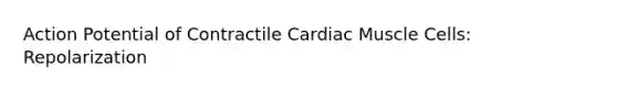 Action Potential of Contractile Cardiac Muscle Cells: Repolarization