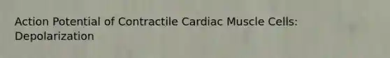 Action Potential of Contractile Cardiac Muscle Cells: Depolarization