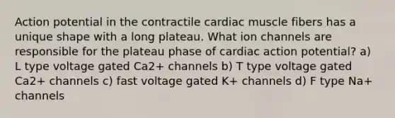 Action potential in the contractile cardiac muscle fibers has a unique shape with a long plateau. What ion channels are responsible for the plateau phase of cardiac action potential? a) L type voltage gated Ca2+ channels b) T type voltage gated Ca2+ channels c) fast voltage gated K+ channels d) F type Na+ channels