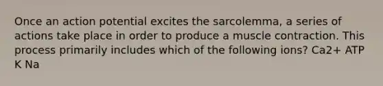 Once an action potential excites the sarcolemma, a series of actions take place in order to produce a muscle contraction. This process primarily includes which of the following ions? Ca2+ ATP K Na