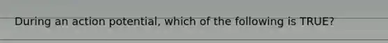 During an action potential, which of the following is TRUE?