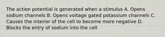 The action potential is generated when a stimulus A. Opens sodium channels B. Opens voltage gated potassium channels C. Causes the interior of the cell to become more negative D. Blocks the entry of sodium into the cell