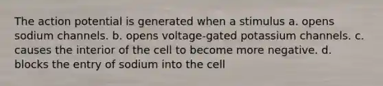 The action potential is generated when a stimulus a. opens sodium channels. b. opens voltage-gated potassium channels. c. causes the interior of the cell to become more negative. d. blocks the entry of sodium into the cell