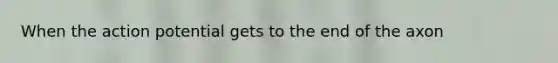 When the action potential gets to the end of the axon