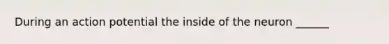 During an action potential the inside of the neuron ______