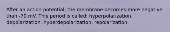 After an action potential, the membrane becomes more negative than -70 mV. This period is called: hyperpolarization. depolarization. hyperdepolarization. repolarization.