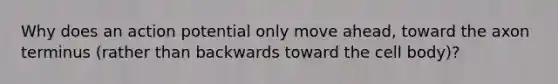 Why does an action potential only move ahead, toward the axon terminus (rather than backwards toward the cell body)?