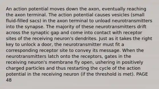 An action potential moves down the axon, eventually reaching the axon terminal. The action potential causes vesicles (small fluid-filled sacs) in the axon terminal to unload neurotransmitters into <a href='https://www.questionai.com/knowledge/kTCXU7vaKU-the-synapse' class='anchor-knowledge'>the synapse</a>. The majority of these neurotransmitters drift across the synaptic gap and come into contact with receptor sites of the receiving neuron's dendrites. Just as it takes the right key to unlock a door, the neurotransmitter must fit a corresponding receptor site to convey its message. When the neurotransmitters latch onto the receptors, gates in the receiving neuron's membrane fly open, ushering in positively charged particles and thus restarting the cycle of the action potential in the receiving neuron (if the threshold is met). PAGE 48