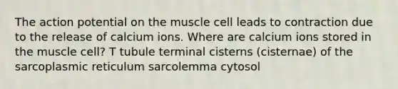 The action potential on the muscle cell leads to contraction due to the release of calcium ions. Where are calcium ions stored in the muscle cell? T tubule terminal cisterns (cisternae) of the sarcoplasmic reticulum sarcolemma cytosol