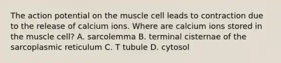 The action potential on the muscle cell leads to contraction due to the release of calcium ions. Where are calcium ions stored in the muscle cell? A. sarcolemma B. terminal cisternae of the sarcoplasmic reticulum C. T tubule D. cytosol