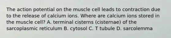 The action potential on the muscle cell leads to contraction due to the release of calcium ions. Where are calcium ions stored in the muscle cell? A. terminal cisterns (cisternae) of the sarcoplasmic reticulum B. cytosol C. T tubule D. sarcolemma