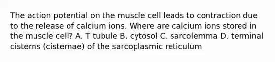 The action potential on the muscle cell leads to contraction due to the release of calcium ions. Where are calcium ions stored in the muscle cell? A. T tubule B. cytosol C. sarcolemma D. terminal cisterns (cisternae) of the sarcoplasmic reticulum