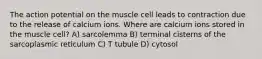 The action potential on the muscle cell leads to contraction due to the release of calcium ions. Where are calcium ions stored in the muscle cell? A) sarcolemma B) terminal cisterns of the sarcoplasmic reticulum C) T tubule D) cytosol