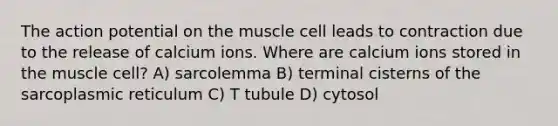 The action potential on the muscle cell leads to contraction due to the release of calcium ions. Where are calcium ions stored in the muscle cell? A) sarcolemma B) terminal cisterns of the sarcoplasmic reticulum C) T tubule D) cytosol