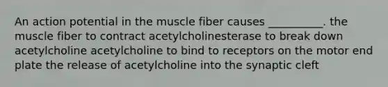 An action potential in the muscle fiber causes __________. the muscle fiber to contract acetylcholinesterase to break down acetylcholine acetylcholine to bind to receptors on the motor end plate the release of acetylcholine into the synaptic cleft