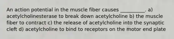 An action potential in the muscle fiber causes __________. a) acetylcholinesterase to break down acetylcholine b) the muscle fiber to contract c) the release of acetylcholine into the synaptic cleft d) acetylcholine to bind to receptors on the motor end plate