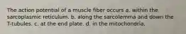 The action potential of a muscle fiber occurs a. within the sarcoplasmic reticulum. b. along the sarcolemma and down the T-tubules. c. at the end plate. d. in the mitochondria.