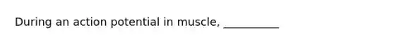 During an action potential in muscle, __________