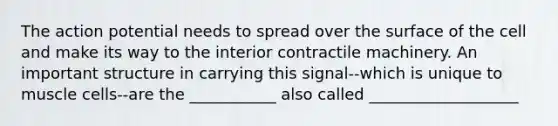 The action potential needs to spread over the surface of the cell and make its way to the interior contractile machinery. An important structure in carrying this signal--which is unique to muscle cells--are the ___________ also called ___________________