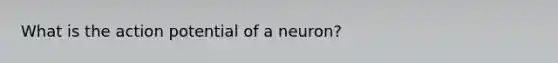 What is the action potential of a neuron?