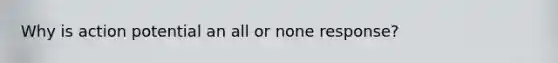 Why is action potential an all or none response?